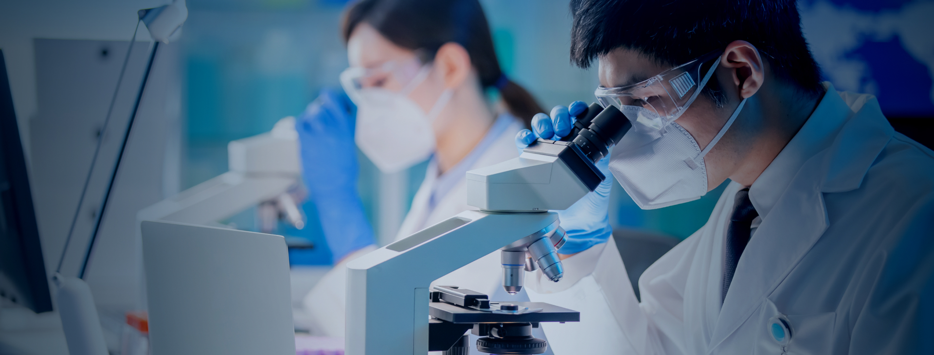 ������Ʒ