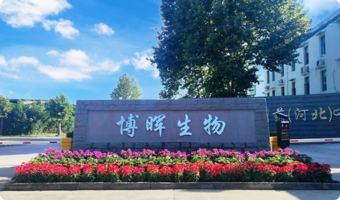 k��Ǯ��������ҩ���ӱ������޹�˾